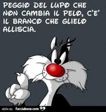 Peggio Del Lupo Che Non Cambia Il Pelo C E Il Branco Che Glielo Alliscia Immagini Divertenti Citazioni Divertenti Divertente