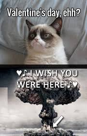 Titanic Grumpy Cat Quotes Google Quotesgram