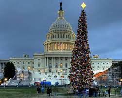 Things To Do In Washington Dc Christmas 2021 Christmas 2021 In Dc Washington Dc Christmas Tree