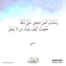 الديوان موسوعة الشعر العربي المتنبي Poet Arabic Calligraphy Calligraphy