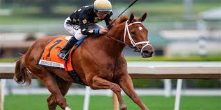 Below we have also listed the most frequent winners at. Picks Predictions For The Apple Blossom Handicap At Oaklawn Park On April 18 2020 Bangthebook Com