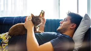 Please call 0800 mob bank (0800 662 226) to register. Asb Mobile Banking App Ios Android Apple Asb