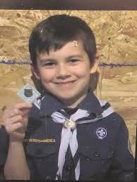 GENESEE COUNTY/Elba teen receives highest rank in Boy Scouts