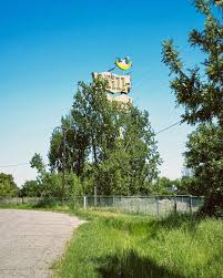 Image result for Chrome Yellow 1956 Twin Cities Milk Producers Association