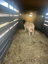 Very interesting post! Thought you would all like it.