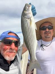 Trip out to the Humber Bridge.