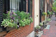 Creative Window Boxes Make/Take Workshop