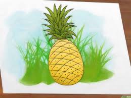 68 gambar sketsa pohon coklat terbaru duniasket. Cara Menggambar Nanas 9 Langkah Wikihow