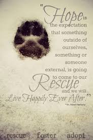 Pin By Kelliedean Photography On Dogs Animal Rescue Quotes Rescue Quotes Rescue Dog Quotes