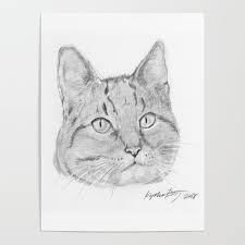 I cannot even imagine how long the shading, detail, and the amount of hours spent on creating these jaw. Cat Face Realistic Pencil Sketch Drawing Poster By Kyoko Bartley Society6