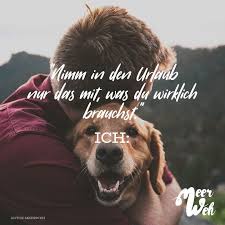 Nimm In Den Urlaub Nur Das Mit Was Du Wirklich Brauchst Ich Animal Photos Hund Zitat Reisen Spruch Spruche Urlaub
