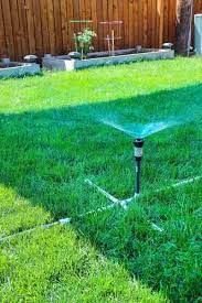 Diy Archives Twofeetfirst In 2021 Lawn Sprinkler System Front Yard Landscaping Design Backyard Landscaping Designs