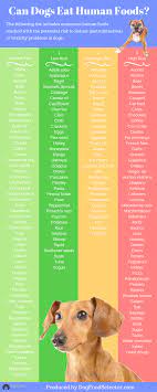 Measure out one cup of the raw meat and beans mix per meal for your dog. How Many Times Have You Asked Yourself Is It Okay For My Dog To Eat That We All Know The Truly Deadly Thing Human Food For Dogs Healthy Dogs Dog Infographic