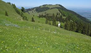 Maybe you would like to learn more about one of these? Farrenpoint Und Schuhbraualm Almwanderung Bei Brannenburg