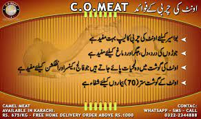 The foot of a camel has two toes that are linked with a flexible pad. C O Meat Publications Facebook
