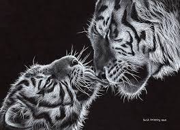 Check spelling or type a new query. Mother And Baby Animals Drawings Fine Art America