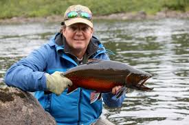 We did not find results for: Brook Trout Minipi Lodges