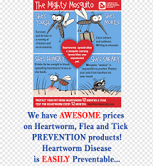 Get reviews, hours, directions, coupons and more for union county animal clinic at 3190 us highway 60 e, morganfield, ky 42437. Harbour Place Animal Hospital Veterinarian Clinique Veterinaire Union County North Carolina Hospital Tips Text Pet United States Png Pngwing