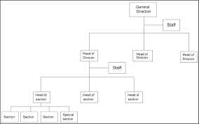 simplified organizational chart of the parisian accounting