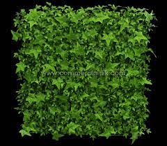 The English Ivy Wall Mat Is The Perfect Way To Quickly Adorn A Vertical Structure A Wall Or Create A Screen Ivy Wall Artificial Green Wall Artificial Foliage