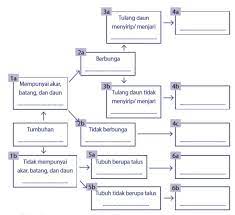 Jika yang dipilih adalah 1a (tumbuhan berupa herba), pilihan 1b gugur. Klasifikasi Dikotom Dan Kunci Determinasi Bukusekolah Net