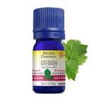 Patchouli Organic Essential Oil 5mL Divine Essence