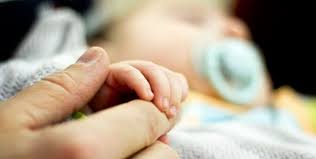 Canciones dedicadas a los padres. Canciones Para Padres Madres E Hijos Cuidame De Pedro Guerra Y Jorge Drexler Gestionando Hijos