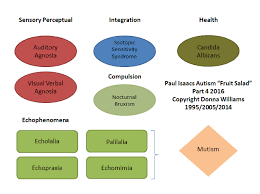 Image result for Echophenomena