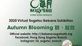 In martial arts, this is particularly. Iemoto Akane Teshigahara Sydney May 2010 Arrangement 1 Youtube