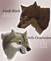 Seth Clearwater - Twilight Reality