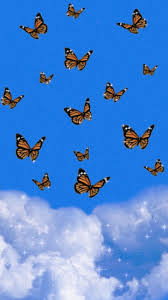 Check spelling or type a new query. Aesthetic Butterfly Wallpaper Blue Aesthetic Butterfly Butterfly Wallpaper Aesthetic Butterfly Wallpaper Iphone Background Wallpaper