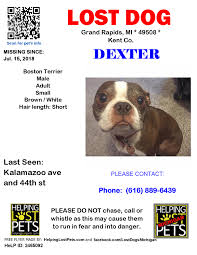 I began my research for the ideal pet while living in my tiny apartment that didn't while daydreaming about puppies at a local park with my kids, a little black and white blur dashed passed me. Lostdog Dexter Grandrapids Lost Dogs Michigan Facebook