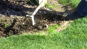 Maybe you would like to learn more about one of these? Have You Ever Seen An Action Hoe Youtube