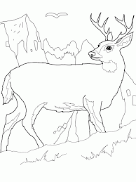 Plus, it's an easy way to celebrate each season or special holidays. Free Printable Deer Coloring Pages For Kids Coloring Library