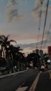 maria pellicane (mariapellicane)