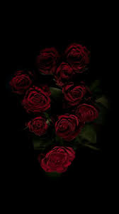 We hope you enjoy our growing collection of hd images to use as a background or home screen for your smartphone or computer. Rose Aesthetic Phone Wallpapers Top Free Rose Aesthetic Phone Backgrounds Wallpaperaccess