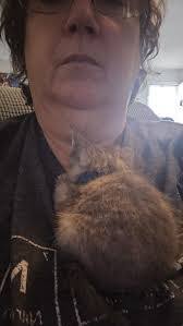 Sharon Boutin's Instagram, Twitter & Facebook