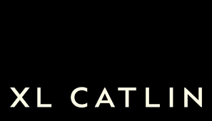 In that reason, we address insurance companies for their services. Xl Catlin Launches Cyber Insurance In Asia Pacific Commercial Risk