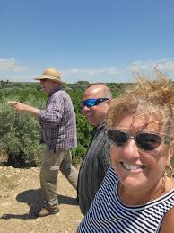 Relaxing farm tour near Catania with olive oil tasting