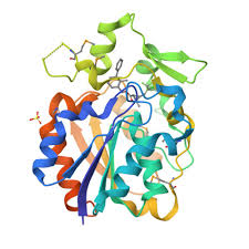 Image result for Pyrethroid