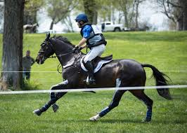 We did not find results for: Equestrian Air Vests What You Need To Know Us Equestrian