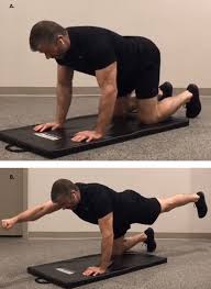 Just think how many people complain about having bad backs. Ultimate Lower Back Exercises For Men Top Fitness Home