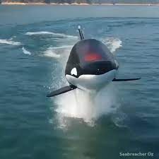 Coolest Toy Ever Video In 2020 Cool Toys Cool Inventions Inventions