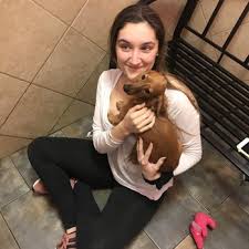 Island puppies | island puppies specializes in helping consumers find their new best friend. Worldwide Puppies Kittens 44 Photos 74 Reviews Pet Stores 2560 W Sunrise Hwy Bellmore Ny Phone Number