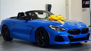 Image result for Misano Blue 2021 Z4
