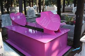Pembe Mezarlik Sarkisinin Ilham Kaynagi Pembe Ilham Mezarliklar
