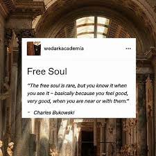 Poets Of Dark Academia On Instagram The Free Soul Thesecrethistory Darkacade Pretty Words Words Quotes Quote Aesthetic All i want to do is make you happy. pretty words words quotes quote aesthetic