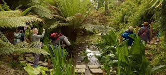 Bizarre Vous Avez Dit Bizarre Jardin Botanique Jardins Gazon Synthetique