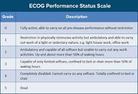 Image result for ECOG Performance Status