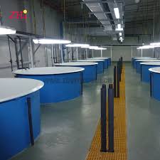 processed customized large frp fish